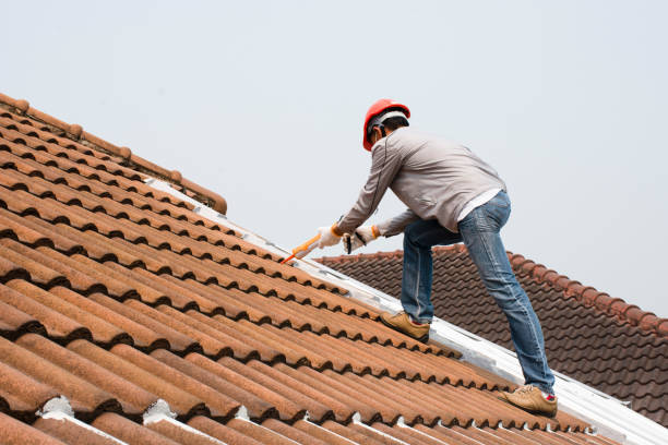 Best Storm Damage Roof Repair  in Giddings, TX